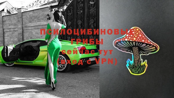 мдма Ладушкин