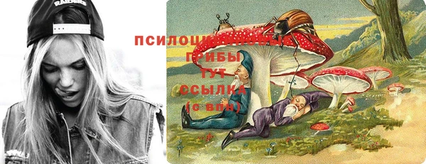 соль ск Лабытнанги