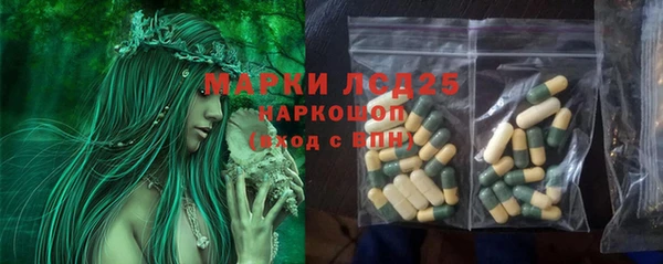 молекула духа Лагань