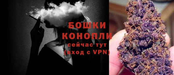 молекула духа Лагань