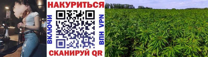 закладка  kraken рабочий сайт  Каннабис Ganja  Спас-Деменск 